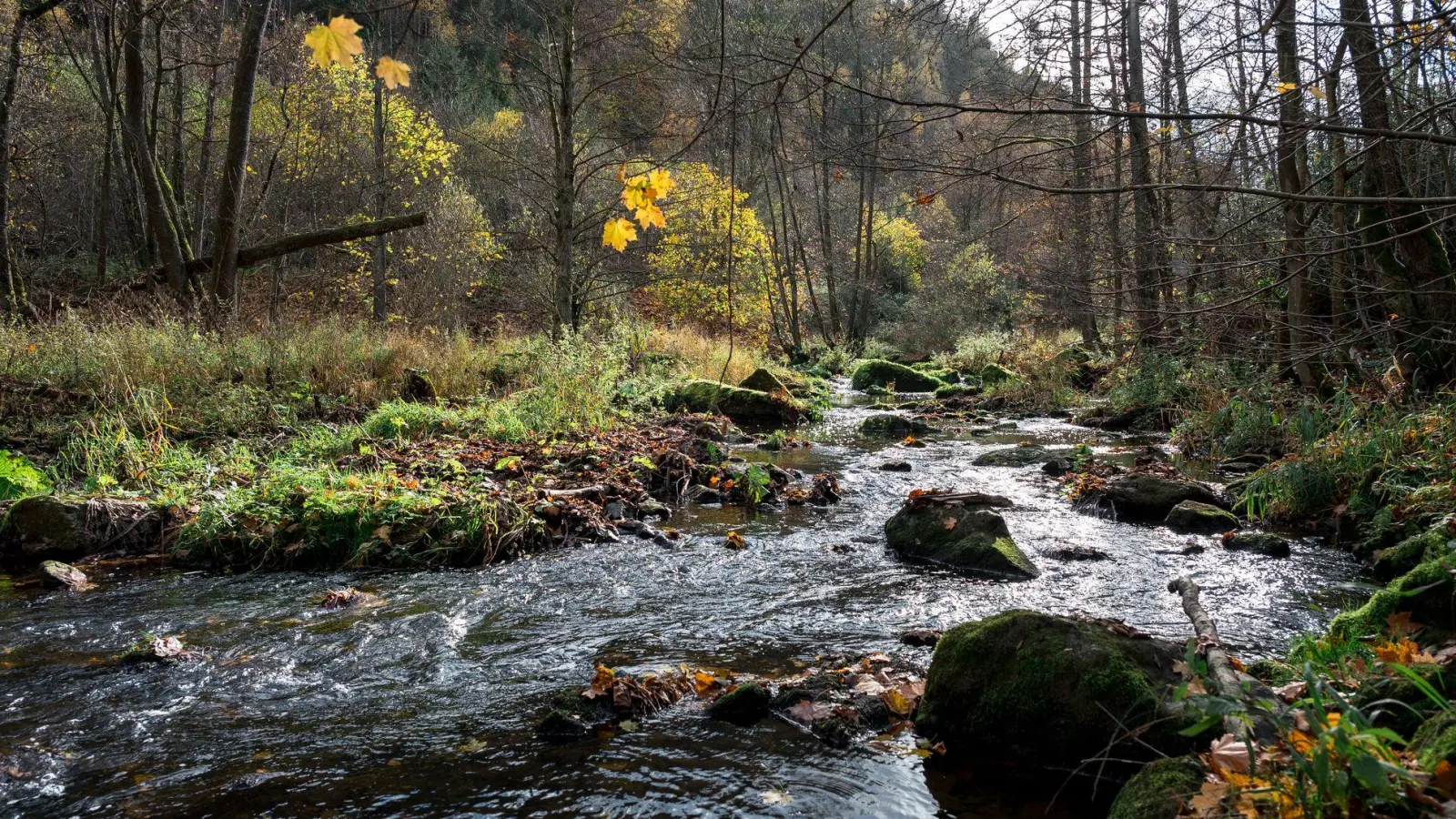 Das Höllental bei Lichtenberg (Landkreis Hof) ist eine beliebte Wanderregion. (Archivbild) (Foto: Daniel Vogl/dpa)