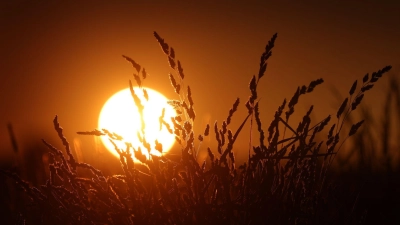 Auch heute bleibt es der Vorhersage zufolge sonnig und außergewöhnlich heiß. (Foto: Karl-Josef Hildenbrand/dpa)