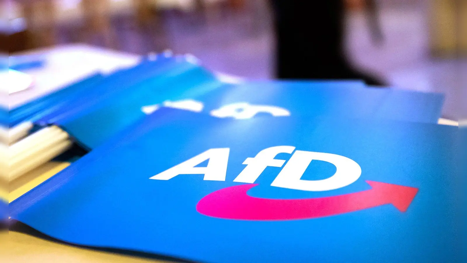 Die AfD hat den Einzug in die Stichwahlen von Landkreisen, kreisfreien Städten und großen Kommunen nach den vorläufigen Ergebnissen verpasst. (Symbolfoto)  (Foto: Daniel Karmann/dpa)