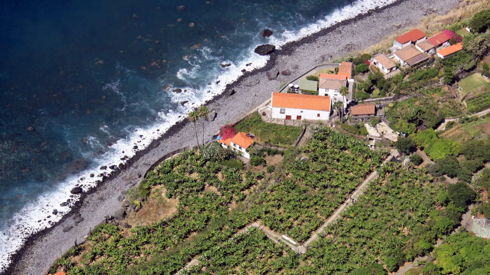 Gilt als die Wiege des Madeira-Weins: das Weingut Fajã dos Padres, geschützt gelegen vor einer steilen Felswand an der Küste. (Foto: Manuel Meyer/dpa-tmn)