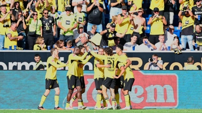 Gelbe Jubeltraube nach dem BVB-Siegtor in Sinsheim. (Foto: Uwe Anspach/dpa)