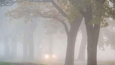 Nicht immer verlässlich: Lichtautomatiken erkennen Nebel oder diesiges Wetter nicht zuverlässig. (Foto: Patrick Pleul/dpa/dpa-tmn)