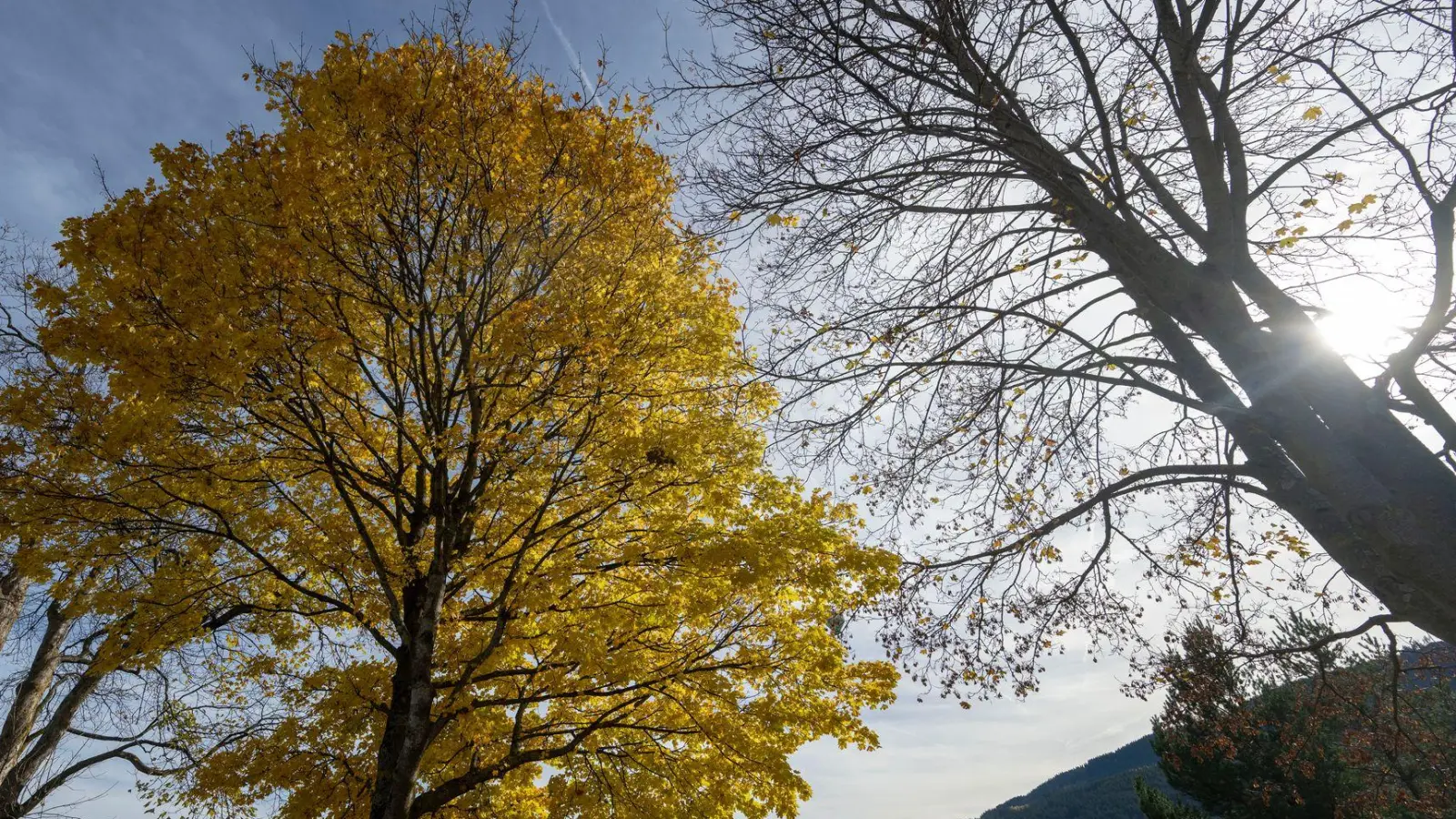 In Bayern bringt das Wetter ordentlich Nebel und ein wenig Sonne mit. (Symbolbild) (Foto: Stefan Puchner/dpa)