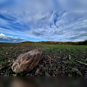 Der Herbst gibt alles - gesehen bei Ipsheim (Foto: Ernst Ripka)