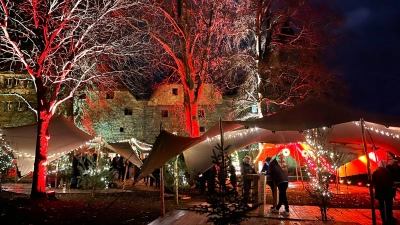 Im vergangenen Jahr verzierten Lichterketten und bunt angestrahlte Bäume den Burggarten beim Winterglühen.  (Archivbild: Christine Schweizer)