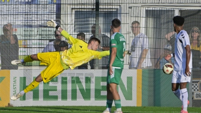 Und wieder schlägt es ein: SpVgg- <br>Torwart Heiko Schiefer kann das 0:2 nicht verhindern. (Foto: Martin Rügner)