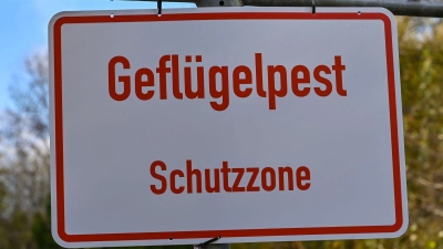 Nach Angaben des Friedrich-Loeffler-Instituts sind immer mehr Geflügelhaltungen in Deutschland von der Geflügelpest betroffen. In Betrieben in neun Bundesländern gab es bislang Seuchenausbrüche. (Symbolbild). (Foto: Patrick Pleul/dpa-Zentralbild/dpa)