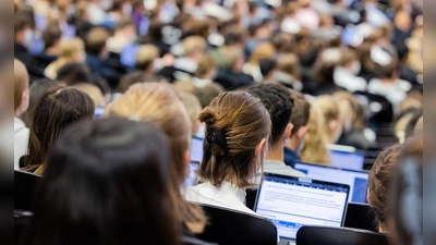 2024 wurden laut eines Studienkredittests nur noch knapp 13.000 neue Verträge abgeschlossen. (Symbolbild) (Foto: Rolf Vennenbernd/dpa)
