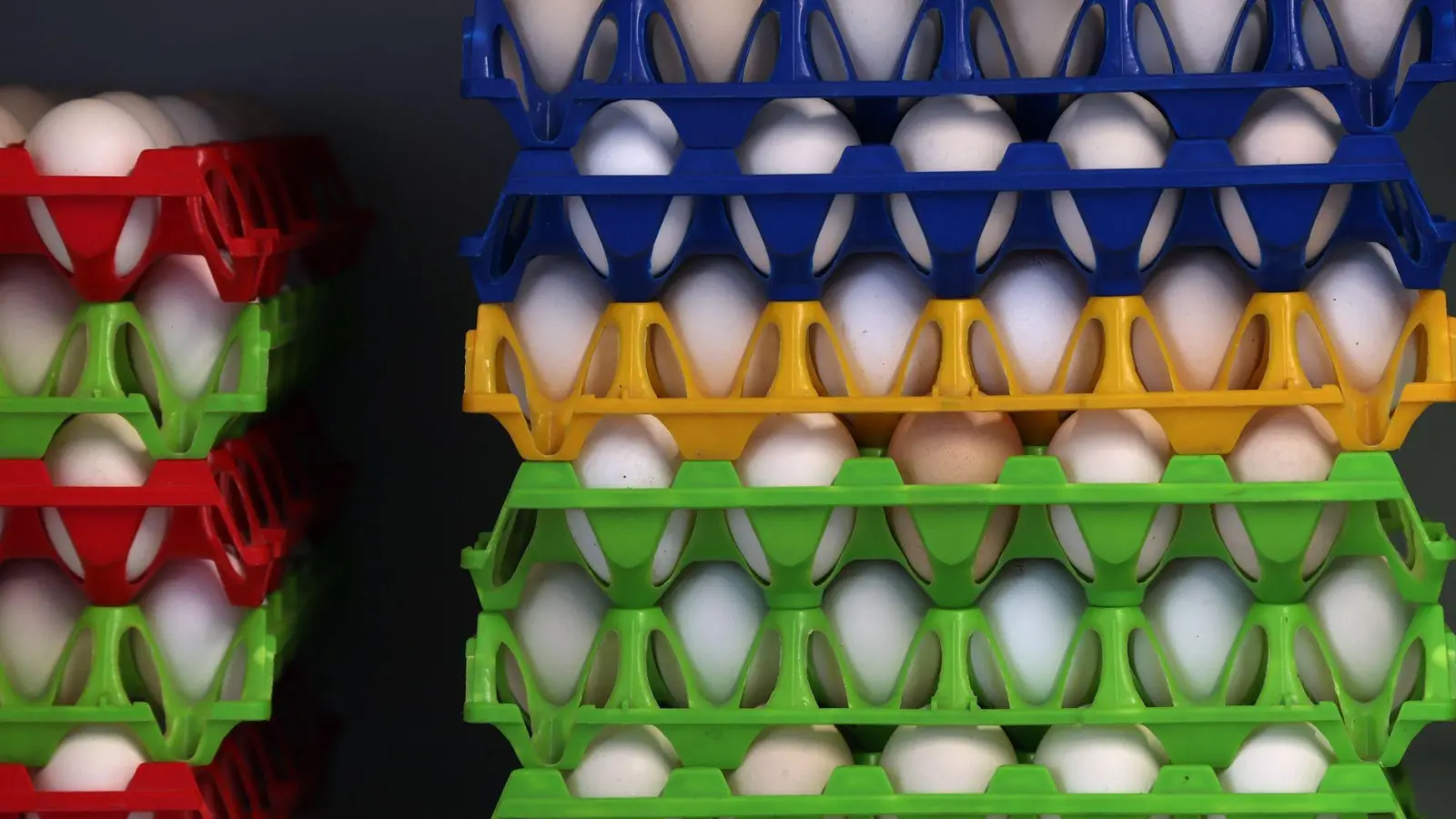 In Bayern gibt es eine große Nachfrage nach Bio-Eiern. (Symbolbild) (Foto: Karl-Josef Hildenbrand/dpa)
