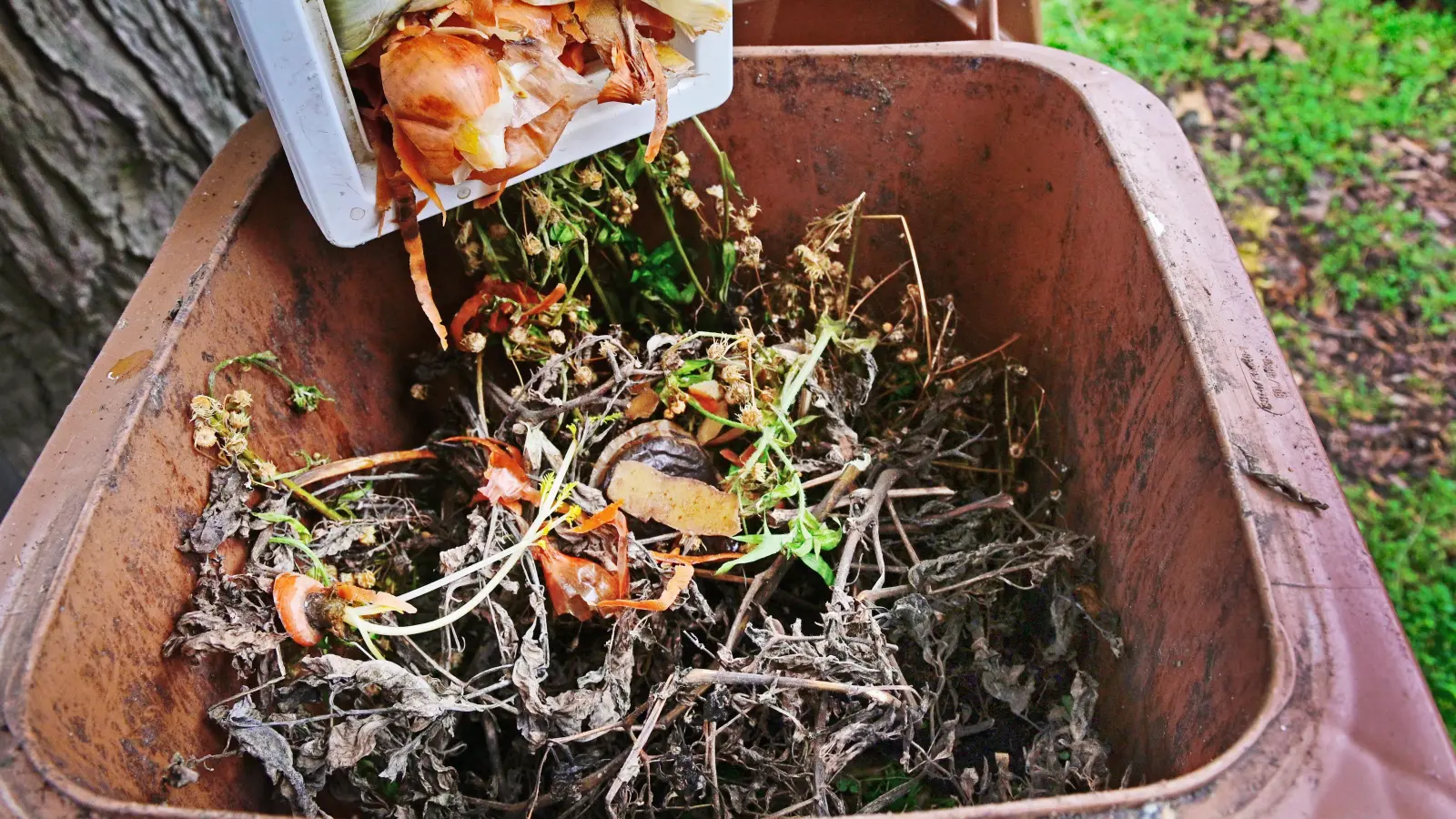 Um eine saubere Kompostierung zu gewährleisten, ist es wichtig, dass der Biomüll keine Störstoffe enthält. (Archivbild: Jim Albright)