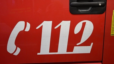 Bei einem Brand sind 100 Schweine verendet. (Symbolbild) (Foto: Felix Hörhager/dpa)