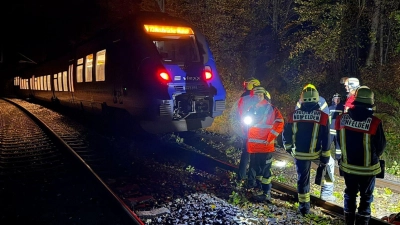 Bei dem Zusammenstoß mit einem Baum wurde kein Passagier des Zuges verletzt.  (Foto: Thorsten Kremers/dpa)