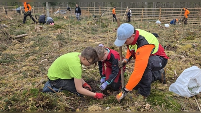 Kinder der Valentin-Ickelsamer-Mittelschule pflanzten gemeinsam mit den Auszubildenden des Forstbetriebes Atlaszedern im Wald bei Wachsenberg.<br> (Foto: Florian Vogel)
