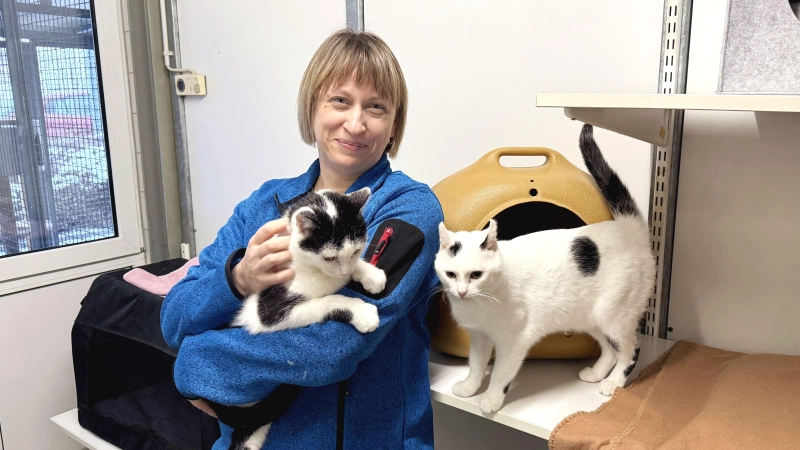 Gruppenbild mit Katern: Die Zahl der Katzen im Tierheim ist für diese Zeit schon hoch. So sieht es die Vorsitzende des Tierschutzvereins, Eva Lindner. (Foto: Oliver Herbst)
