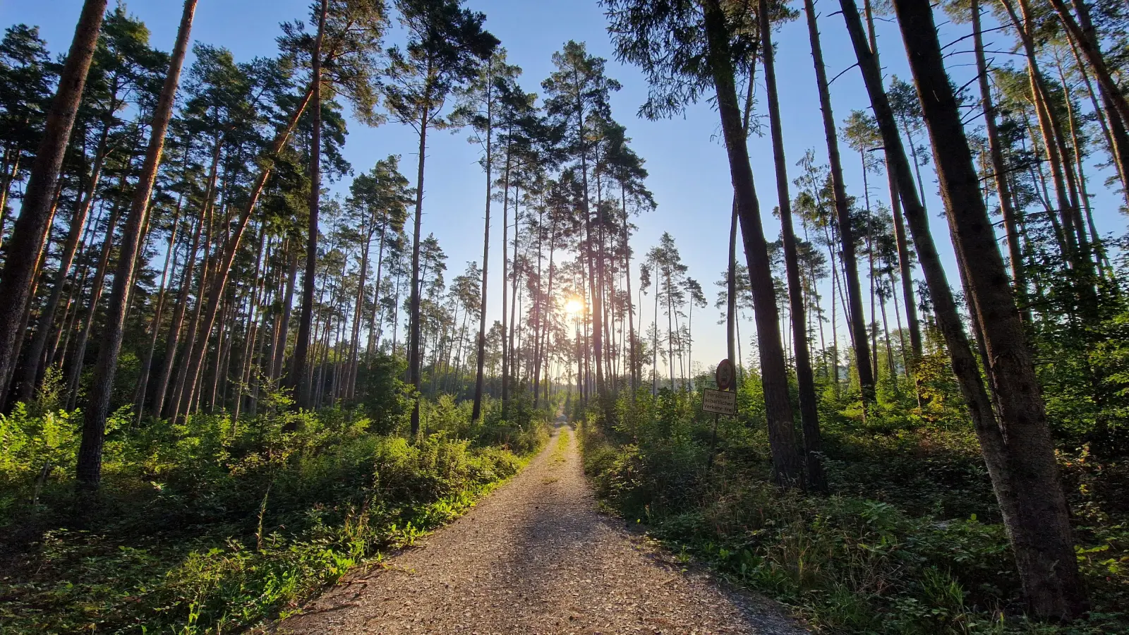 Platz 5: Waldweg zwischen Beerbach und Dietersheim. (85 Votes)	 (Foto: Uwe Keil	)