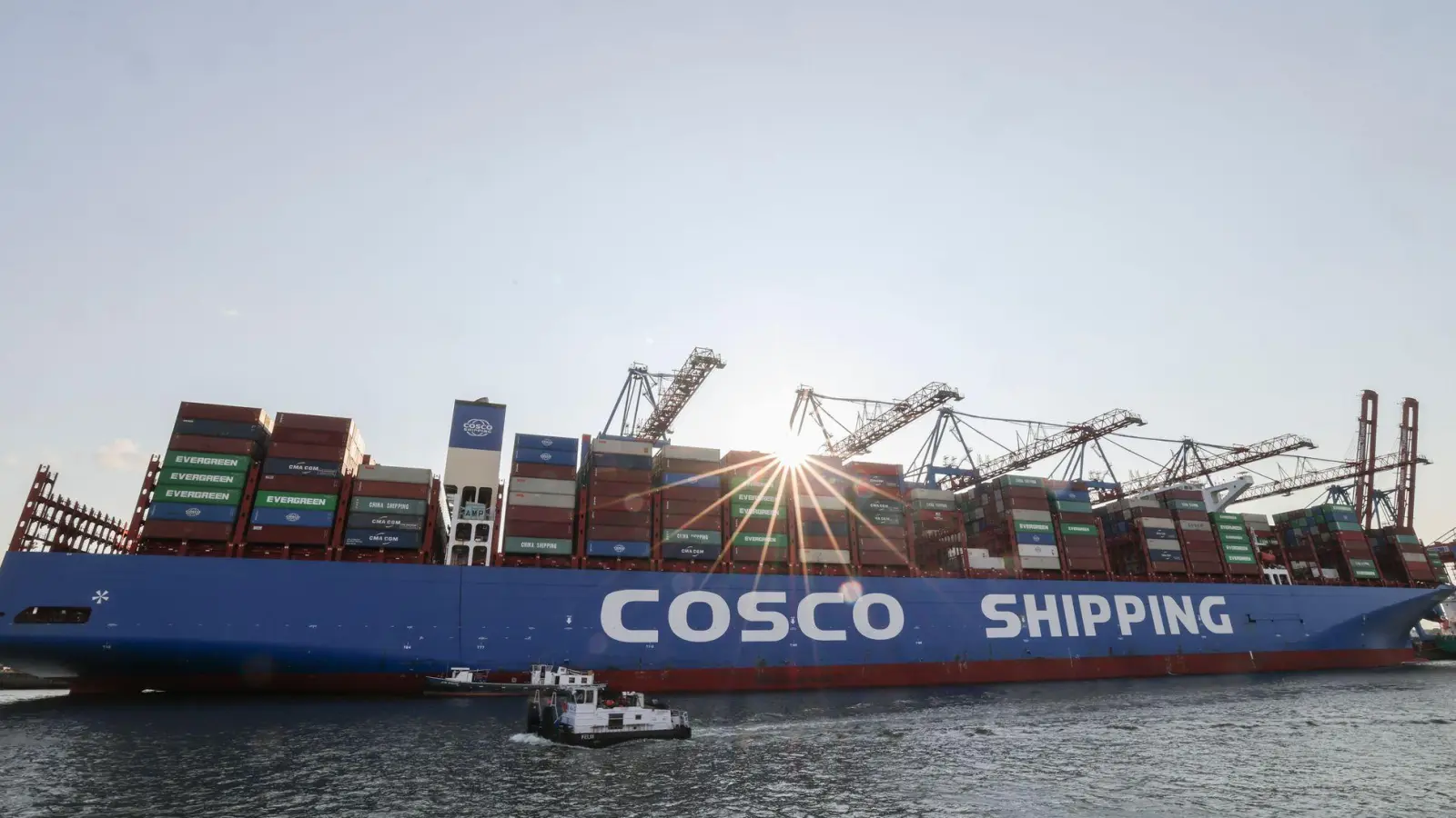 Cosco-Containerschiffe laufen regelmäßig Hamburg an. (Archivbild) (Foto: Christian Charisius/dpa)