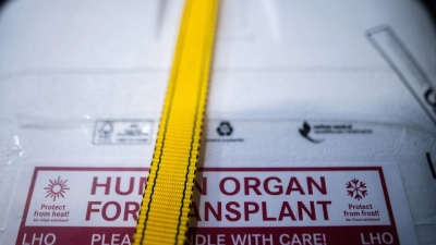 Kühlbox für eine Organspende: Ein zweijähriger Junge kämpft in Neapel um sein Leben. Nach einem Transplantationsfehler wird europaweit nach einem passenden Spenderherz gesucht. (Archivbild) (Foto: Sebastian Gollnow/dpa)