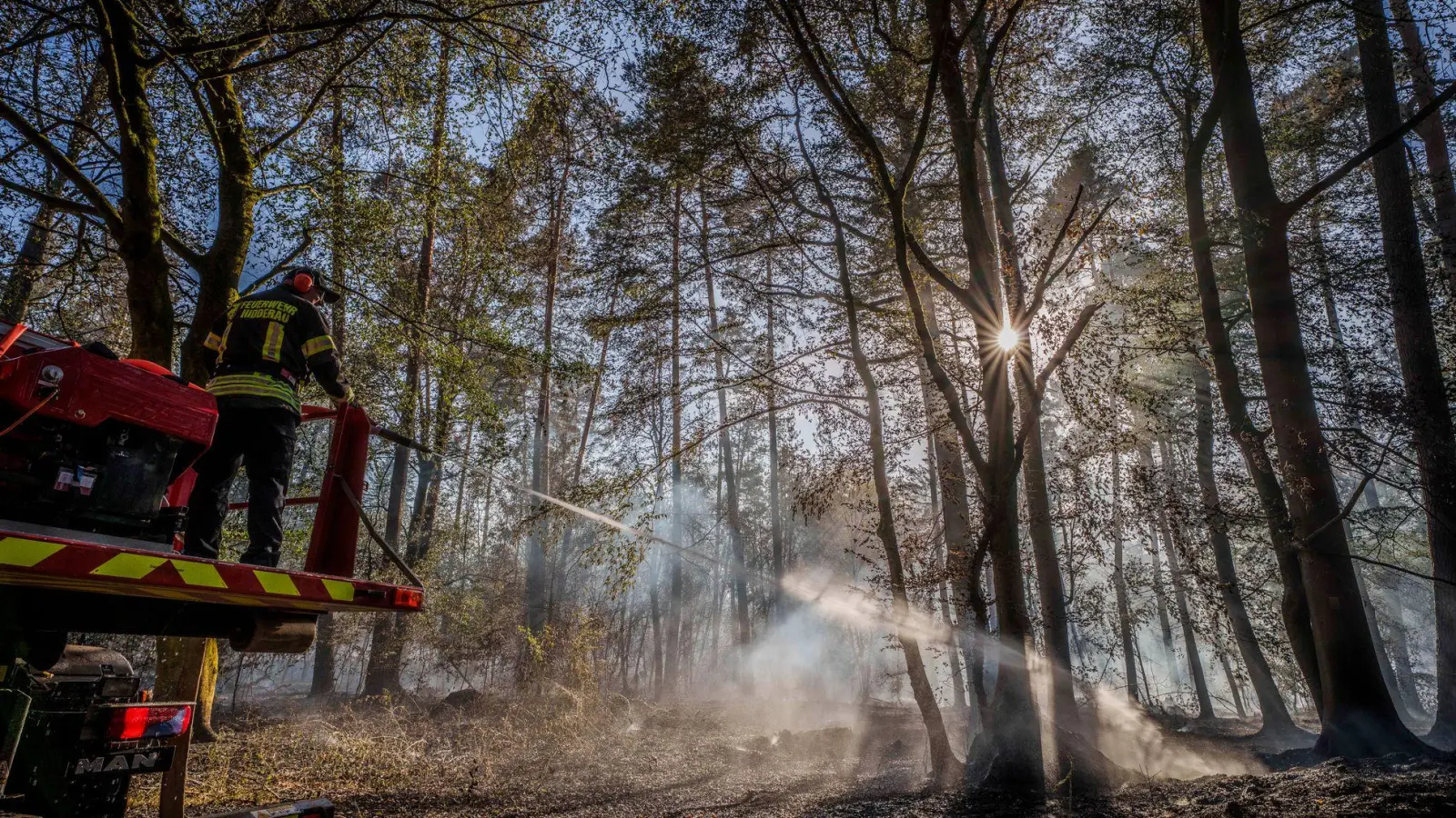 Ein Waldbrand auf hessischem Gebiet hatte auch auf Bayern übergegriffen. (Archivbild)   (Foto: Andreas Arnold/dpa)