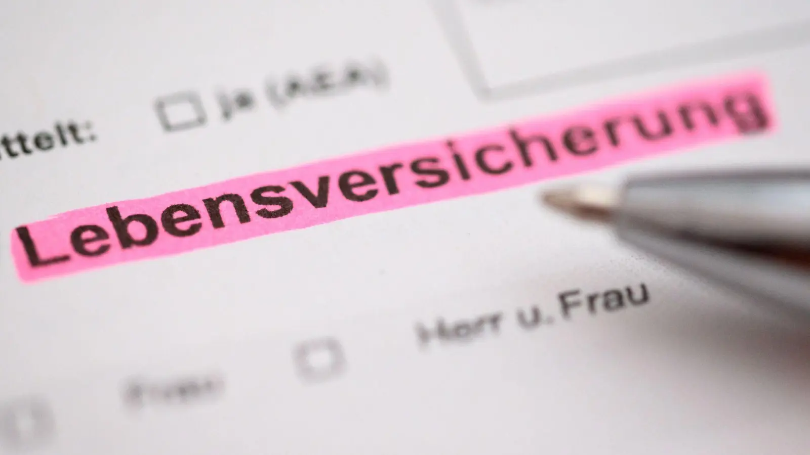 Die deutsche Wirtschaft ist in einer Dauerflaute gefangen, doch die Versicherungsbranche fährt nicht schlecht. Lebensversicherungskunden können mit stabilen Zinsen rechnen. (Symbolbild) (Foto: Jonas Walzberg/dpa)