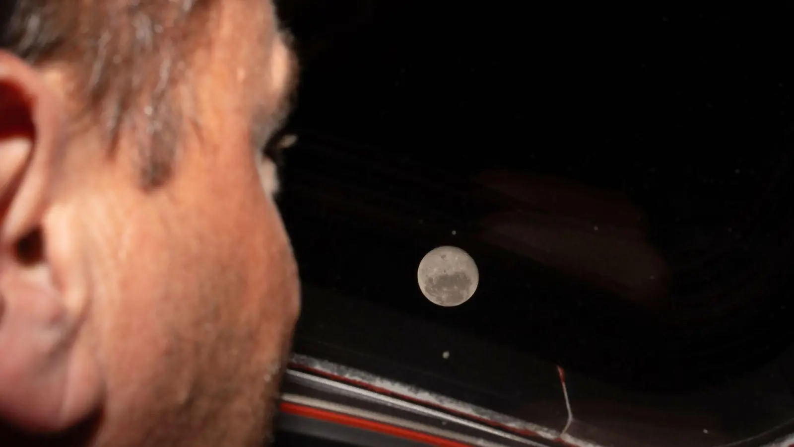 Auf dem Mond gibt es jetzt einen Krater, der nach der gestorbenen Ehefrau von Astronaut Wiseman benannt ist. (Foto: Uncredited/NASA/AP/dpa)