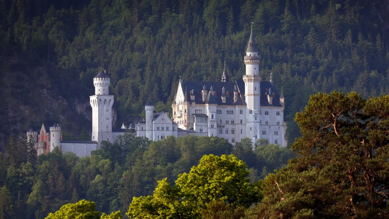 Das Schloss Neuschwanstein gilt als größter Besuchermagnet der Bayerischen Schlösserverwaltung. (Symbolbild)  (Foto: Karl-Josef Hildenbrand/dpa)