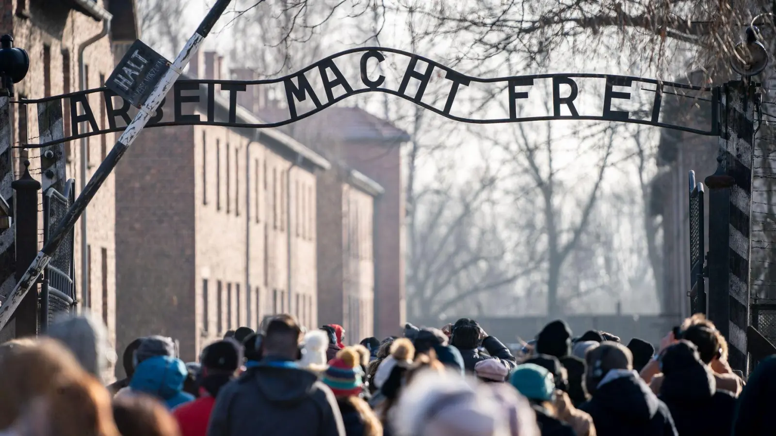 Der Nazi-Spruch „Arbeit macht frei“ war über dem Tor zum KZ Auschwitz angebracht. (Archivbild) (Foto: Kay Nietfeld/dpa)