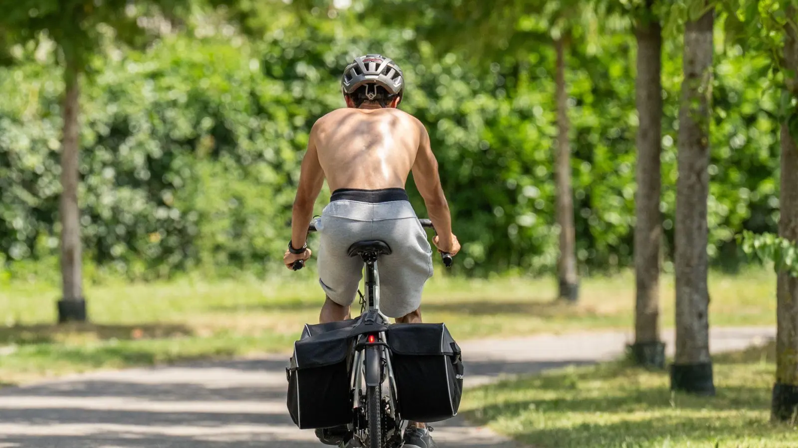 Am Donnerstag werden laut DWD Höchsttemperaturen von bis zu 38 Grad erwartet. (Symbolbild) (Foto: Silas Stein/dpa)