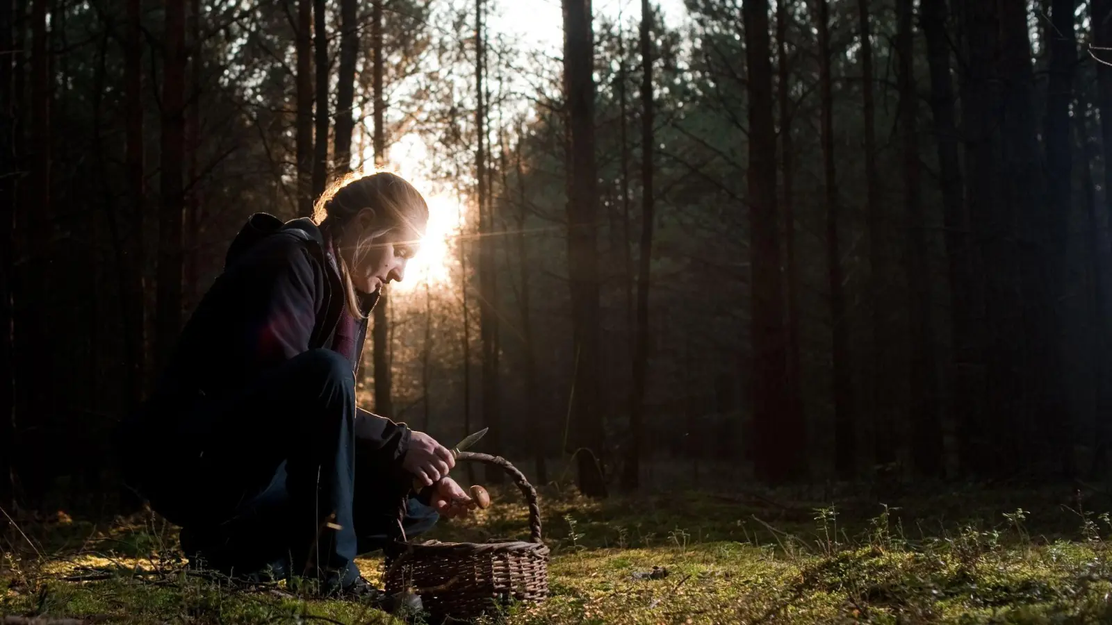 Damit keine giftigen Pilze ins Körbchen wandern, muss man die Details seines Fundes genau in den Blick nehmen. (Foto: Klaus-Dietmar Gabbert/dpa-tmn)