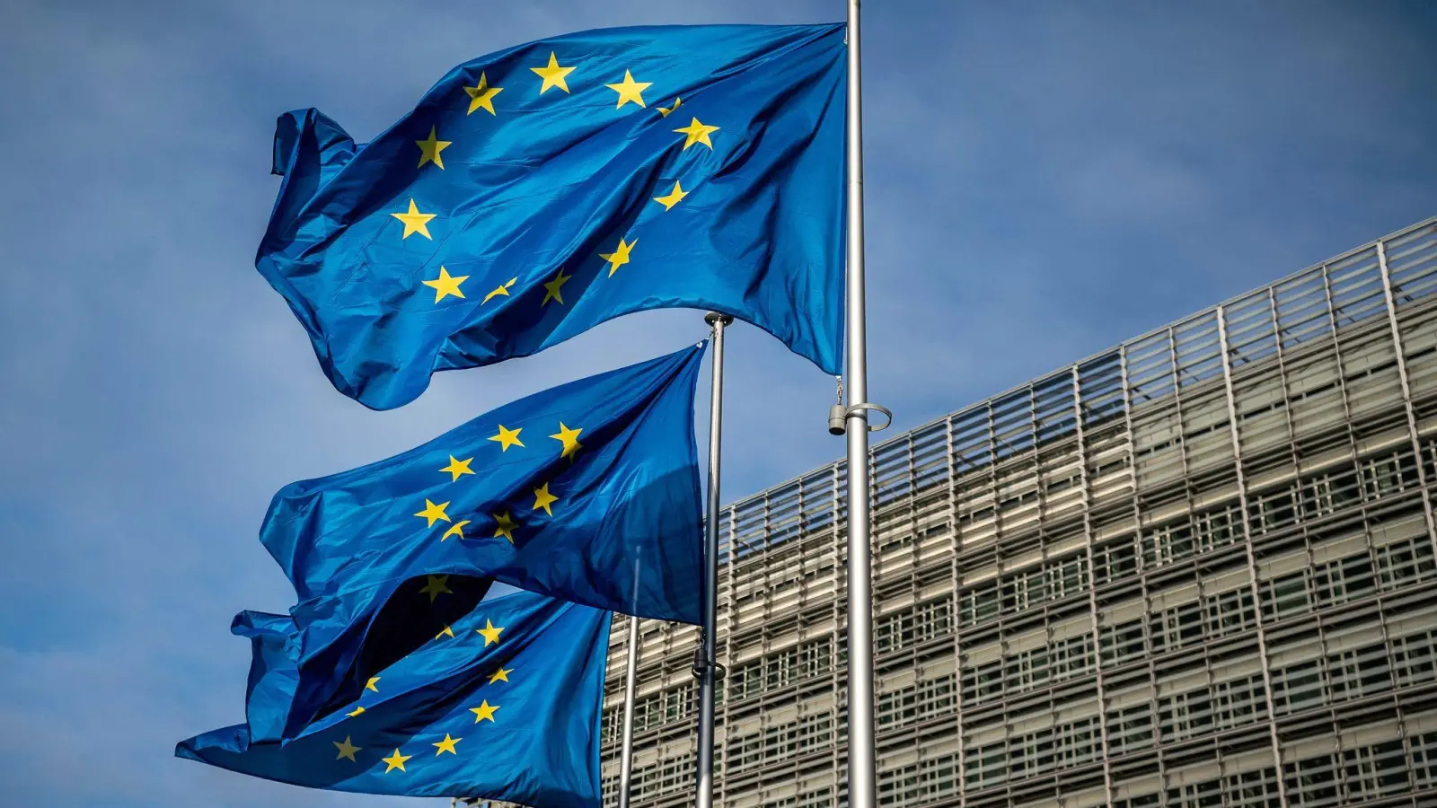 Die EU soll nach Einschätzung von deutsch-französischen Ökonomen Freihandelsabkommen vorantreiben. (Archivbild) (Foto: Michael Kappeler/dpa)