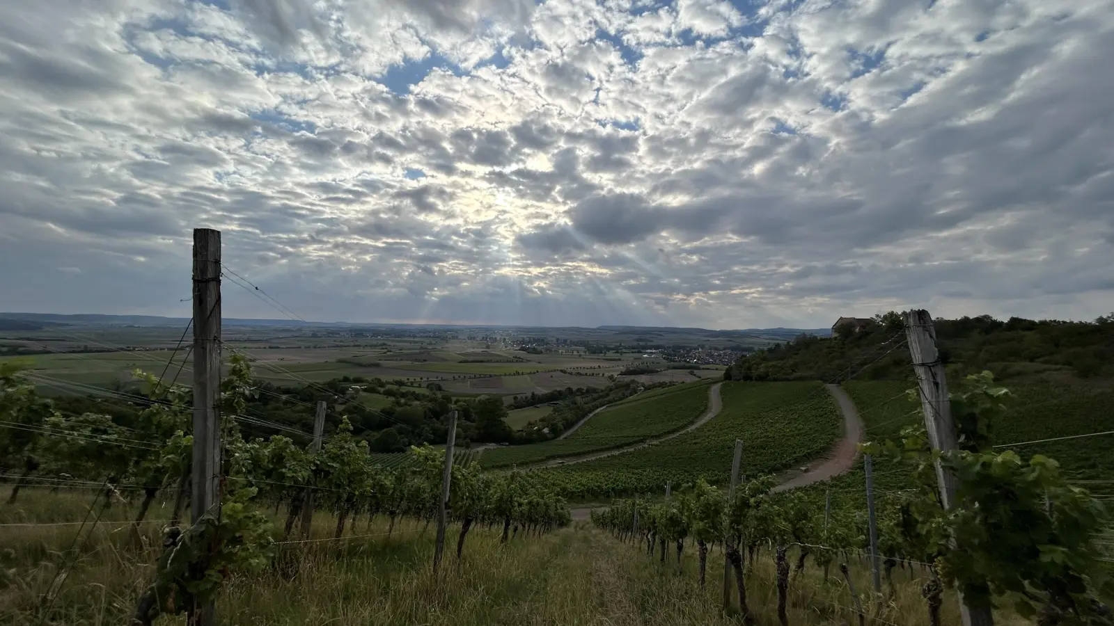 Die zwei Tage der offenen Weingüter ziehen jedes Jahr viele Besucherinnen und Besucher in die Marktgemeinde Ipsheim. (Foto: Ute Niephaus)