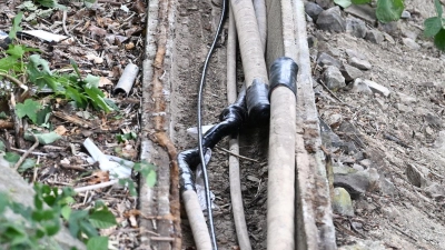 Die durchtrennten Kabel wurden am Sonntag entdeckt. (Foto: Bernd Weißbrod/dpa)