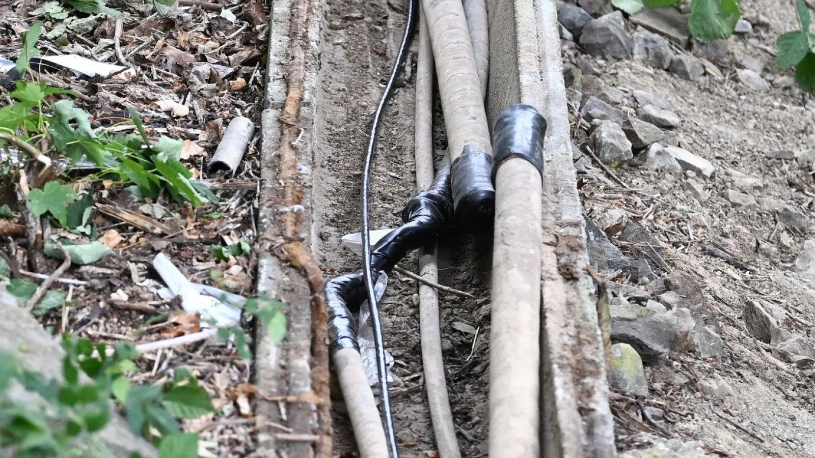 Die durchtrennten Kabel wurden am Sonntag entdeckt. (Foto: Bernd Weißbrod/dpa)