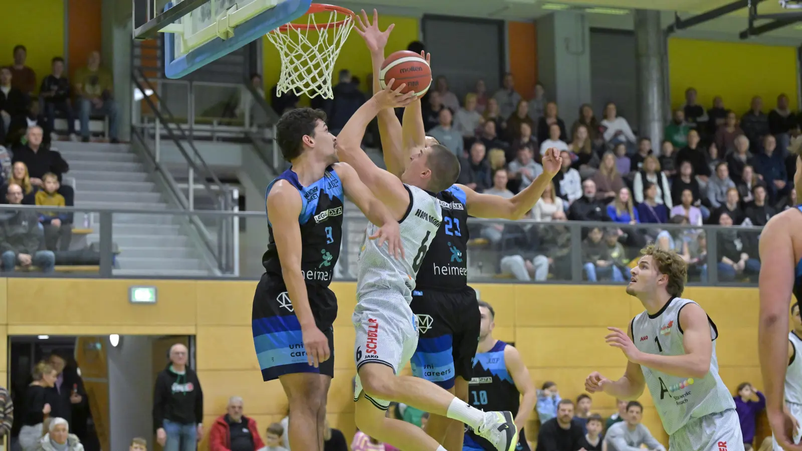 David Kurpiela (in weiß mit Ball) war mit 14 Punkten bester Ansbacher Punktesammler und beendete mit zwei Dreiern die aufholjagd der München Baskets (links Louis Stroh, hinten Yannick Laubinger). (Foto: Martin Rügner)
