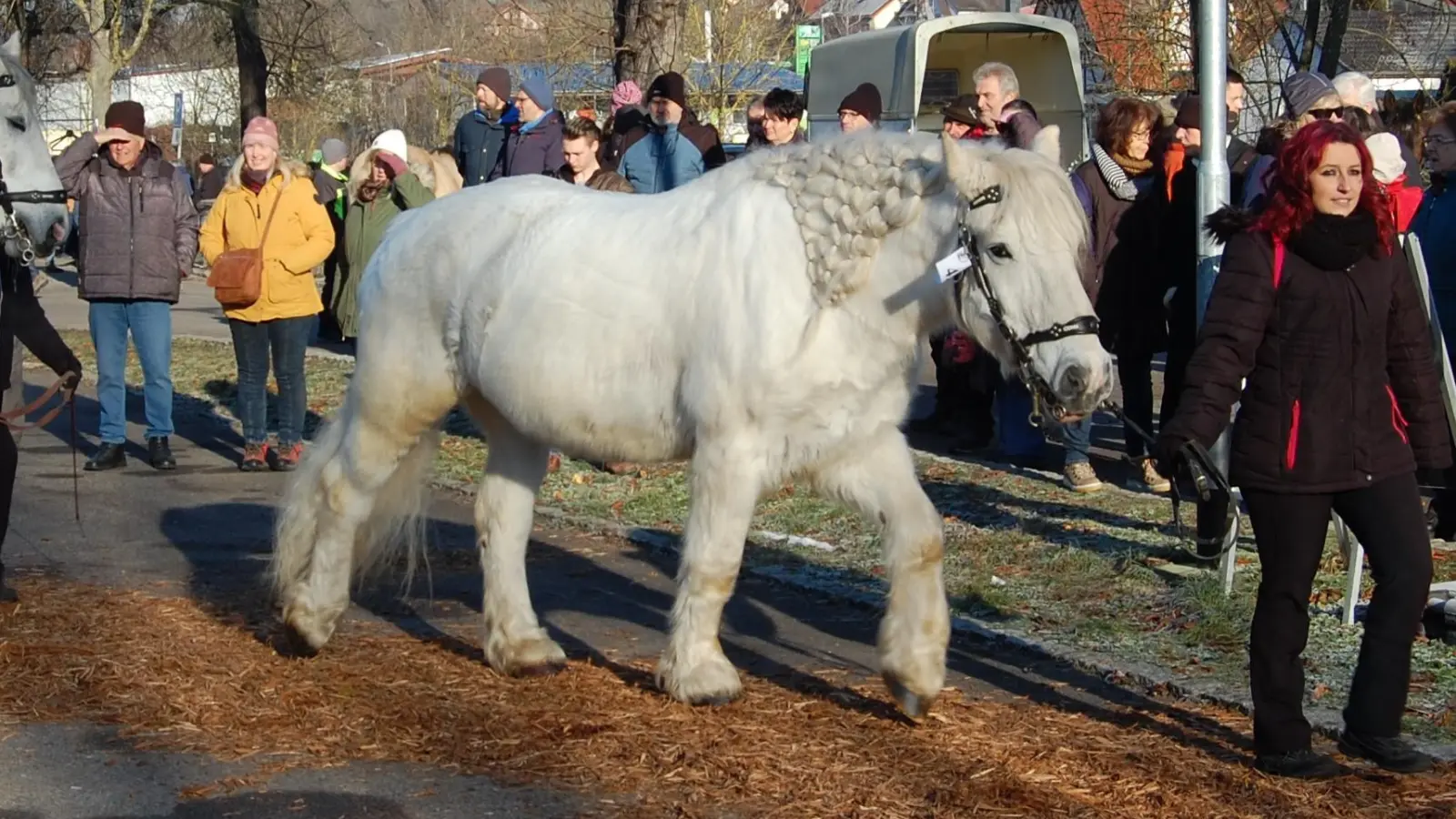 Die Vorfreude auf den beliebten Pferdemarkt ist wieder groß. (Foto: Stadt Creglingen)