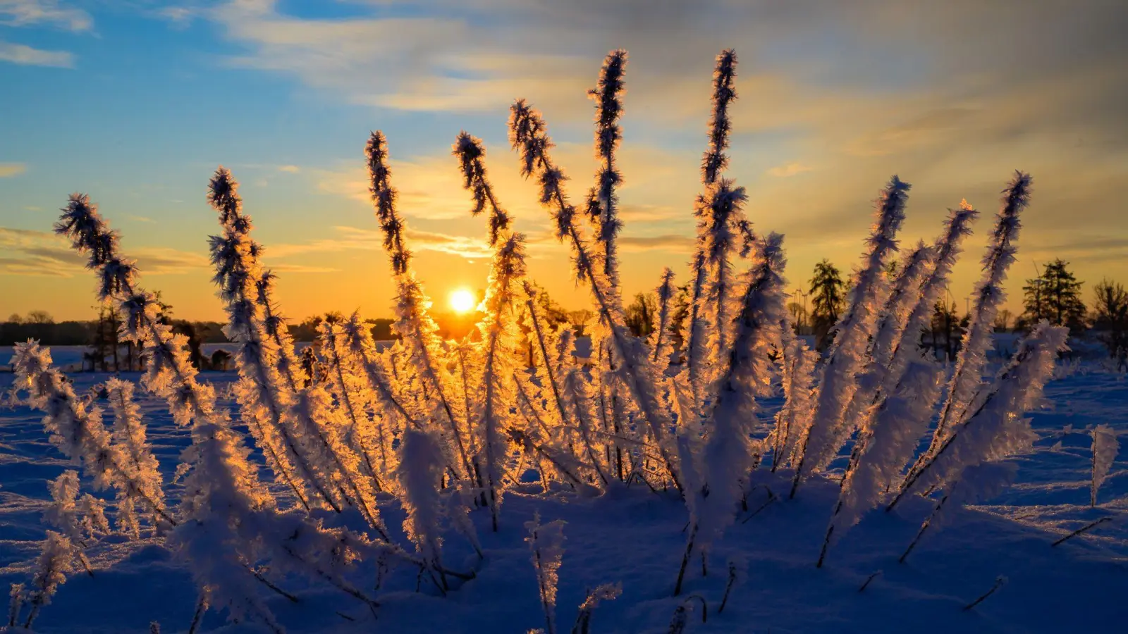 Sonne und kalte Luft erwarten die Meteorologen zum Wochenbeginn. (Archivbild) (Foto: Patrick Pleul/dpa)