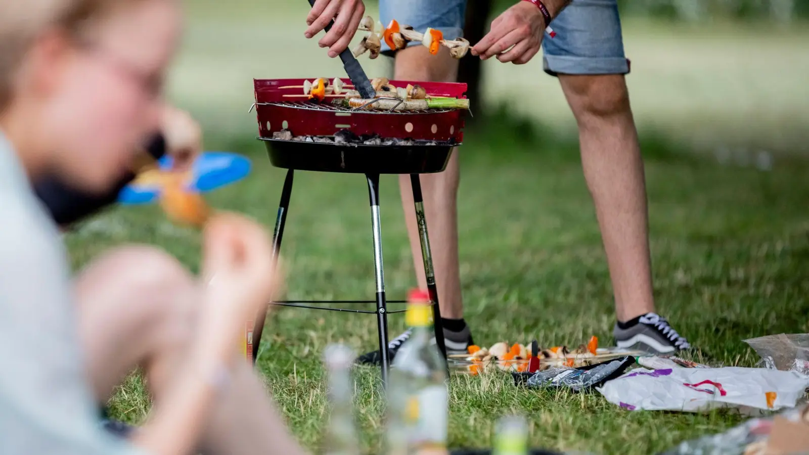 Glut und Essensreste einer Grillparty können für Wildtiere zur tödlichen Falle werden. (Foto: Christoph Soeder/dpa/dpa-tmn)