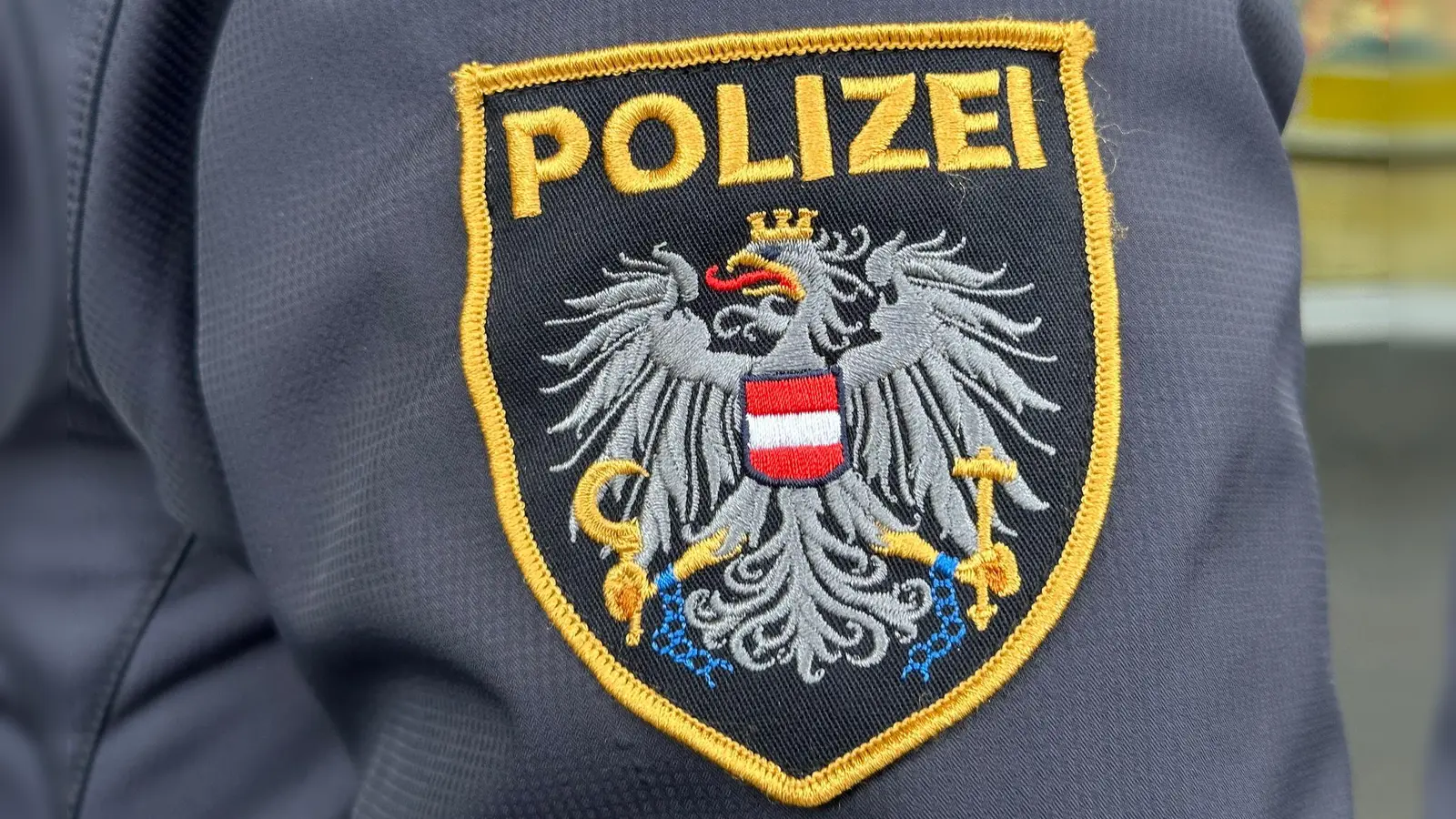 Das Suchgebiet ist riesig. (Archivbild) (Foto: Matthias Röder/dpa)
