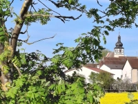 Frühling - gesehen bei Reinhardshofen. (Foto: Helmuth P. Schuh)