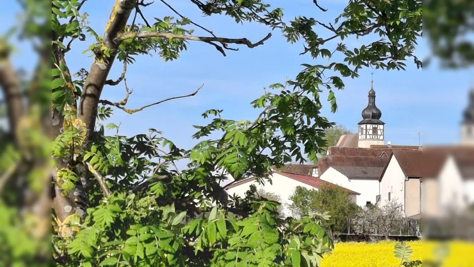Frühling - gesehen bei Reinhardshofen. (Foto: Helmuth P. Schuh)