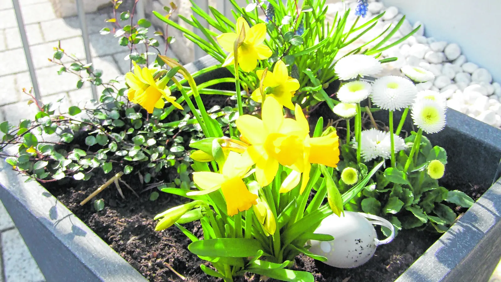 Im schönen Colmberg gibt es wieder ein großes Frühlingsangebot für die ganze Familie. (Foto: Christian Treffer)