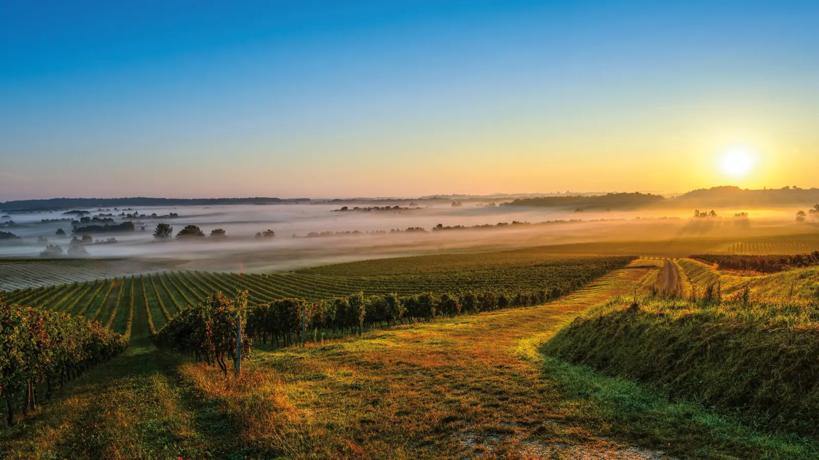 Der Sonnenaufgang an einem Herbsttag verzaubert die Landschaft mit seinem besonderen Licht. (Foto: fotolia.com)