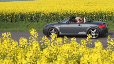 Freie Fahrt für Frischluftfans: Nach dem Winterschlaf sorgt eine kleine Proberunde für Sicherheit. (Foto: Nestor Bachmann/dpa-tmn)