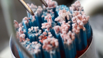 Kühlbehälter, heiß diskutiert: Wie viele Zusatzinfos zur Nutzung einer Samenspende stehen Gezeugten zu? (Foto: Uli Deck/dpa/dpa-tmn)