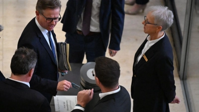 Der Bundestag stimmte für die Forderung nach mehr Daten zu Bluttests bei Schwangeren. (Foto: Michael Brandt/dpa)
