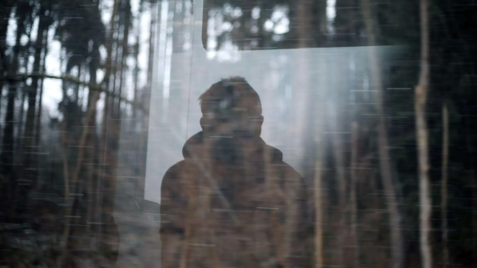 Ein junger Mann blickt aus dem Fenster eines Regionalexpress, der an einem Wald vorbei fährt. (Foto: Karl-Josef Hildenbrand/dpa)