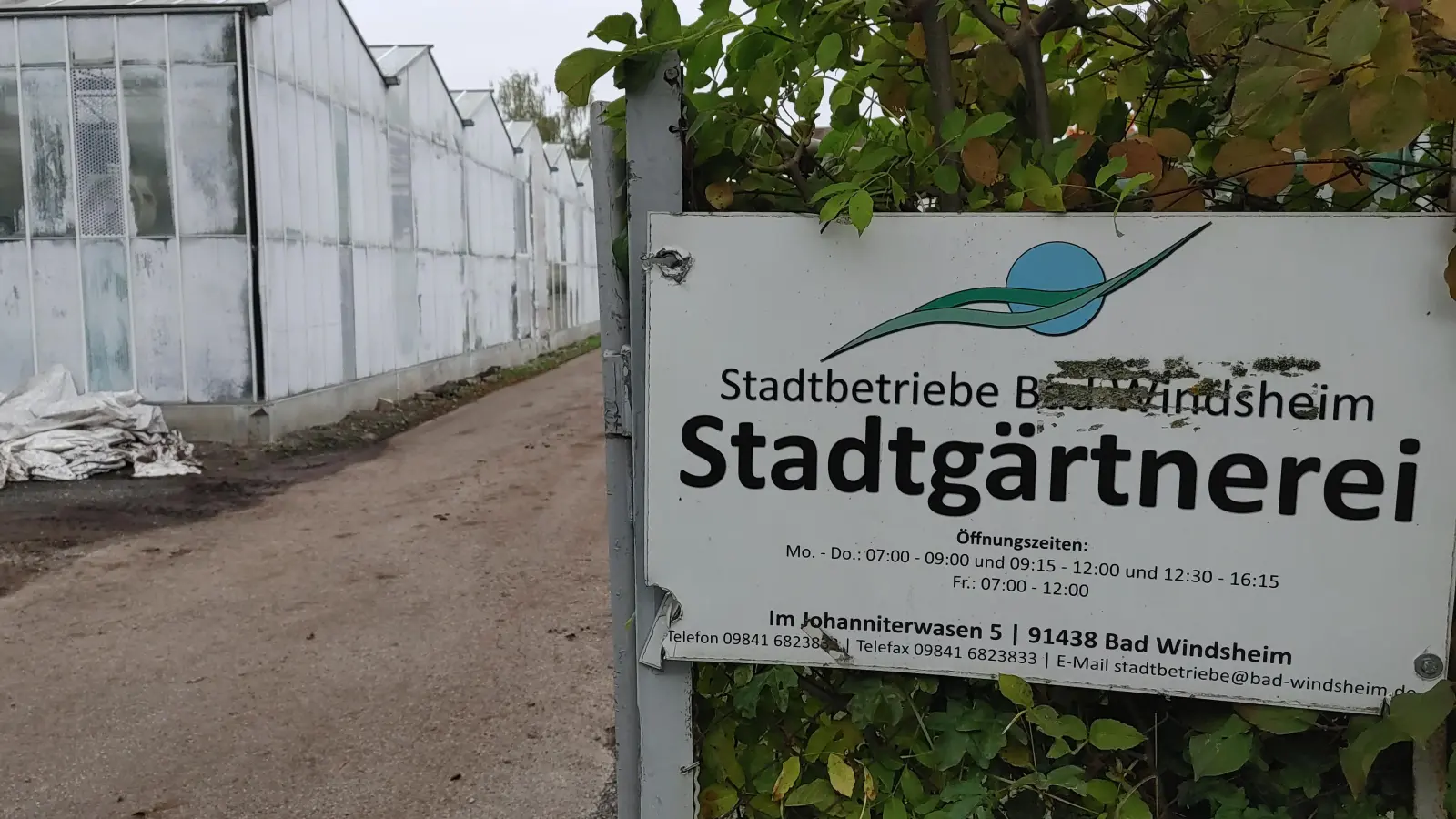 In diese Gewächshäuser wird in der kommenden Woche die Ölheizung der Alten Schäferei eingebaut. Dort können dann Pflanzen überwintert werden, wenn die anderen Gewächshäuser abgerissen sind. (Foto: Katrin Merklein)