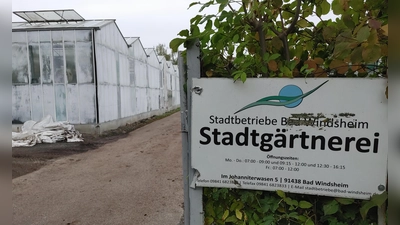 In diese Gewächshäuser wird in der kommenden Woche die Ölheizung der Alten Schäferei eingebaut. Dort können dann Pflanzen überwintert werden, wenn die anderen Gewächshäuser abgerissen sind. (Foto: Katrin Merklein)