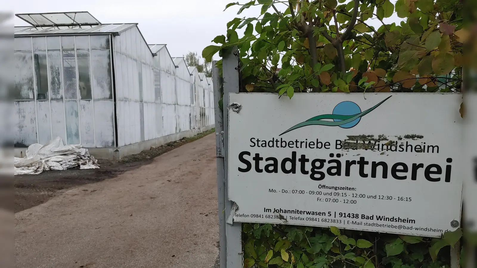 In diese Gewächshäuser wird in der kommenden Woche die Ölheizung der Alten Schäferei eingebaut. Dort können dann Pflanzen überwintert werden, wenn die anderen Gewächshäuser abgerissen sind. (Foto: Katrin Merklein)