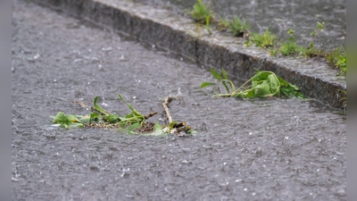 Der Sonntag fällt in Bayern vielerorts ins Wasser.  (Foto: Pia Bayer/dpa)