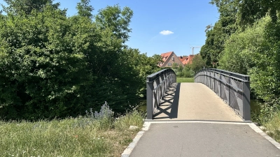 Sie waren zum Baden am Fluss und wollten vom Geländer ins Wasser springen: die beiden Elfjährigen, die am Mittwochabend auf dem Geländer des Wörnitzsteges saßen, als sie eine Passantin unvermittelt in den Fluss stieß. Die Kinder verletzten sich dabei. (Foto: Martina Haas)